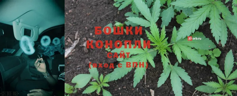 Конопля White Widow  закладки  Правдинск 